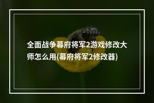 全面战争幕府将军2游戏修改大师怎么用(幕府将军2修改器)