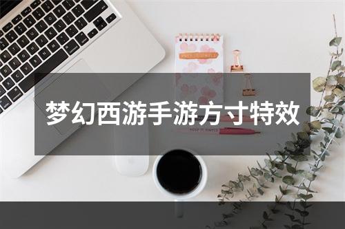 梦幻西游手游方寸特效