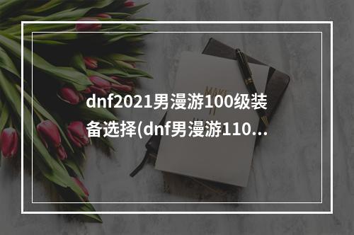 dnf2021男漫游100级装备选择(dnf男漫游110级装备最强搭配攻略2022 110版本毕业装备推荐)