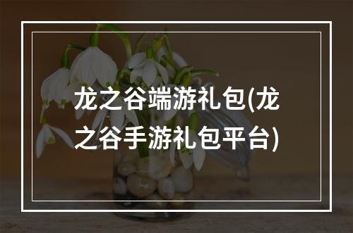 龙之谷端游礼包(龙之谷手游礼包平台)