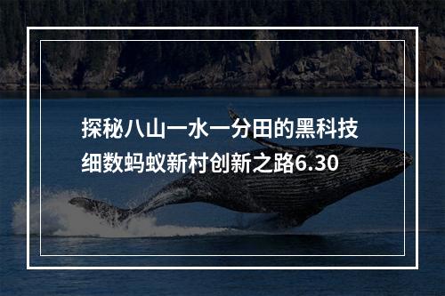 探秘八山一水一分田的黑科技 细数蚂蚁新村创新之路6.30