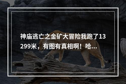 神庙逃亡之金矿大冒险我跑了13299米，有图有真相啊！哈,谁敢比(神庙逃亡金矿大冒险)