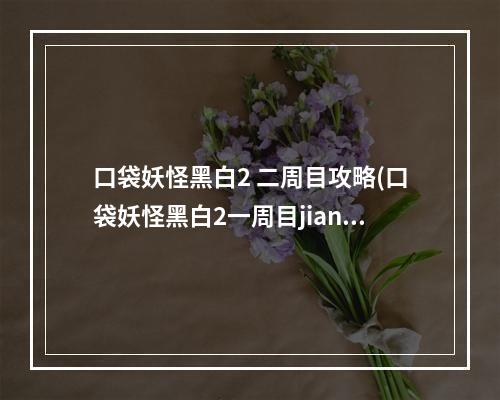 口袋妖怪黑白2 二周目攻略(口袋妖怪黑白2一周目jianyi攻略)