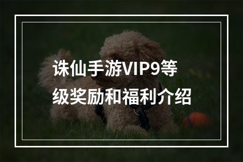 诛仙手游VIP9等级奖励和福利介绍