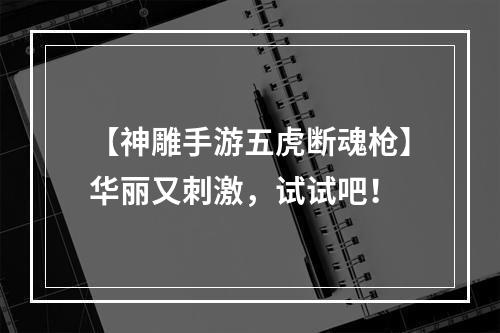 【神雕手游五虎断魂枪】华丽又刺激，试试吧！