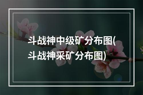 斗战神中级矿分布图(斗战神采矿分布图)