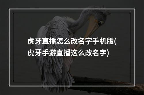 虎牙直播怎么改名字手机版(虎牙手游直播这么改名字)