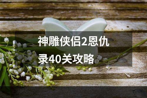 神雕侠侣2恩仇录40关攻略