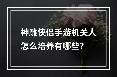 神雕侠侣手游机关人怎么培养有哪些？