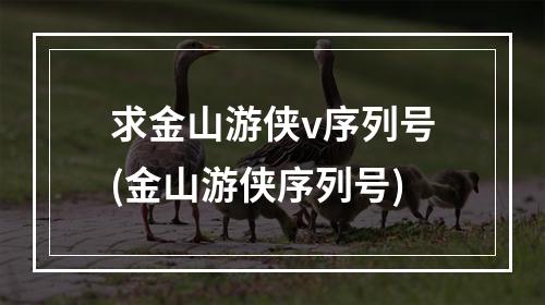 求金山游侠v序列号(金山游侠序列号)