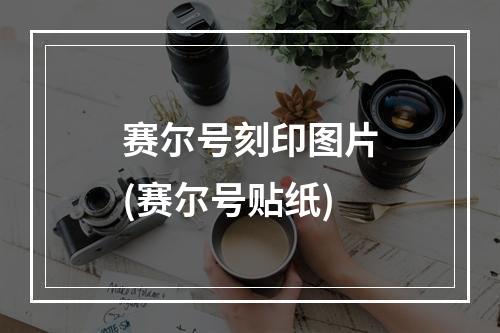 赛尔号刻印图片(赛尔号贴纸)