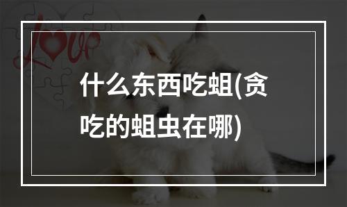 什么东西吃蛆(贪吃的蛆虫在哪)