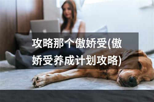 攻略那个傲娇受(傲娇受养成计划攻略)