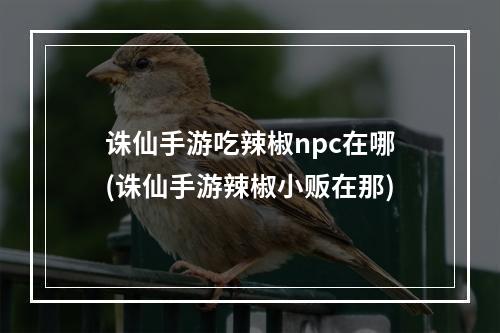 诛仙手游吃辣椒npc在哪(诛仙手游辣椒小贩在那)