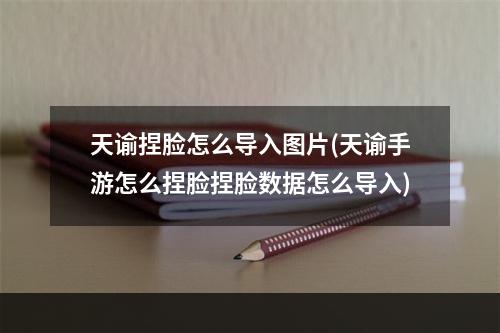 天谕捏脸怎么导入图片(天谕手游怎么捏脸捏脸数据怎么导入)