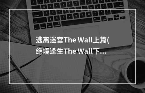 逃离迷宫The Wall上篇(绝境逢生The Wall下篇)