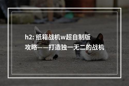 h2: 纸箱战机w超自制版攻略——打造独一无二的战机