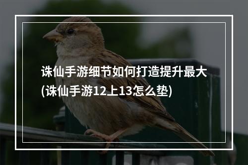 诛仙手游细节如何打造提升最大(诛仙手游12上13怎么垫)