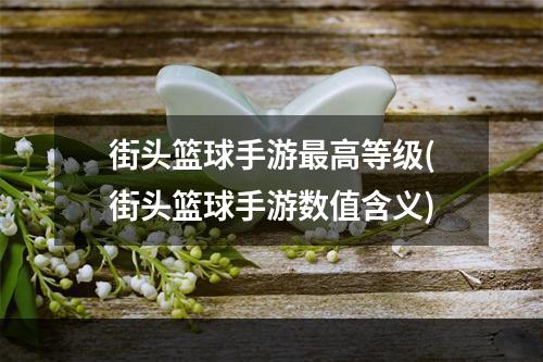 街头篮球手游最高等级(街头篮球手游数值含义)