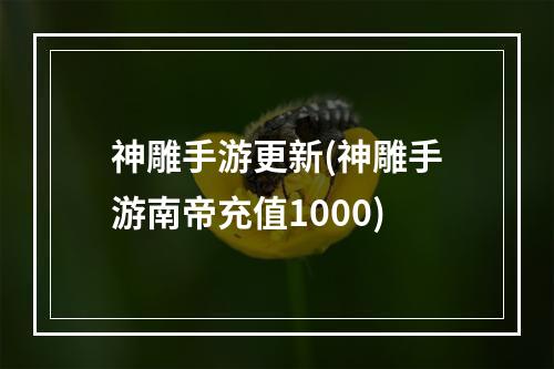 神雕手游更新(神雕手游南帝充值1000)