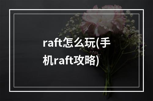 raft怎么玩(手机raft攻略)