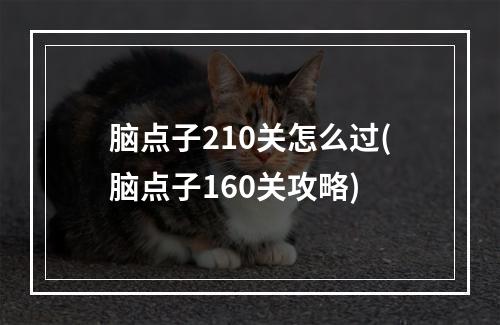 脑点子210关怎么过(脑点子160关攻略)