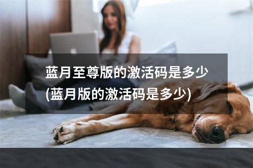 蓝月至尊版的激活码是多少(蓝月版的激活码是多少)