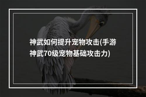 神武如何提升宠物攻击(手游神武70级宠物基础攻击力)