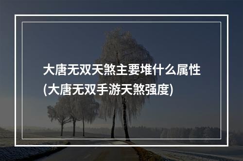 大唐无双天煞主要堆什么属性(大唐无双手游天煞强度)