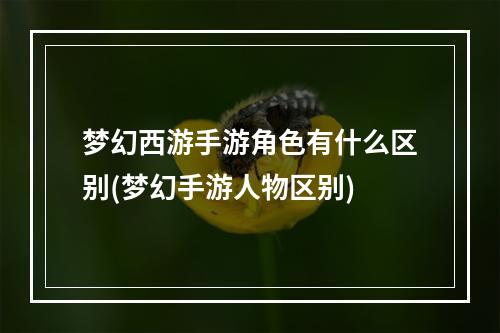 梦幻西游手游角色有什么区别(梦幻手游人物区别)