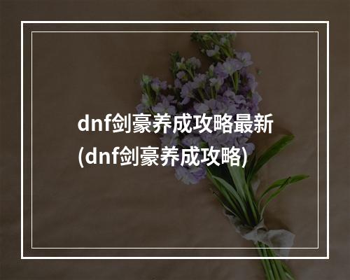 dnf剑豪养成攻略最新(dnf剑豪养成攻略)