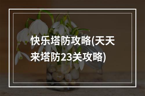 快乐塔防攻略(天天来塔防23关攻略)