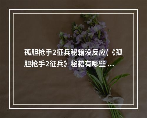 孤胆枪手2征兵秘籍没反应(《孤胆枪手2征兵》秘籍有哪些 秘籍大全 )