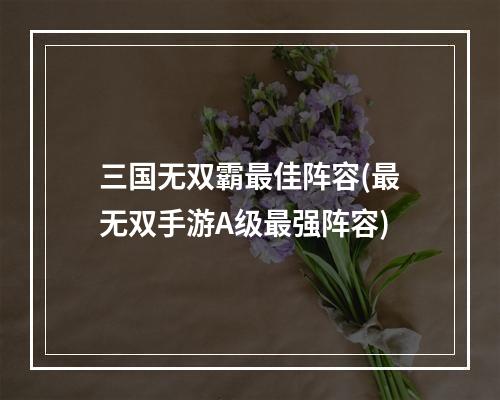 三国无双霸最佳阵容(最无双手游A级最强阵容)