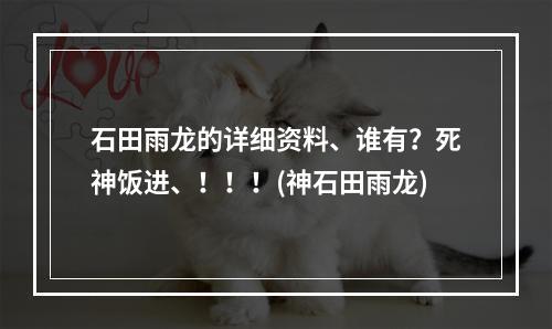 石田雨龙的详细资料、谁有？死神饭进、！！！(神石田雨龙)