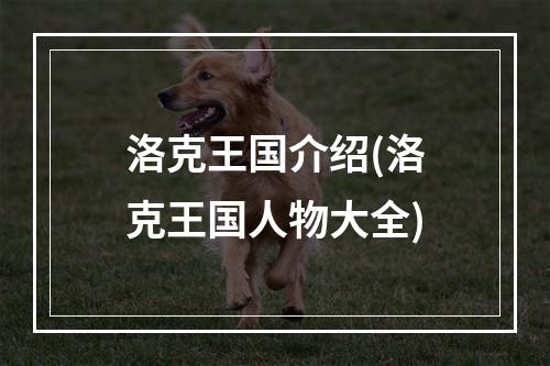 洛克王国介绍(洛克王国人物大全)