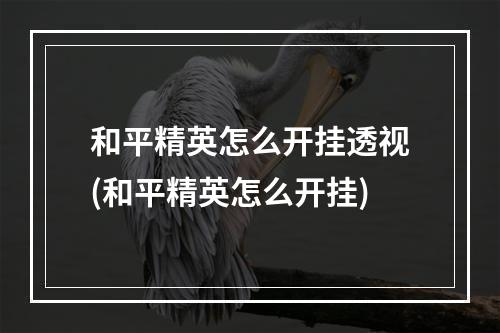 和平精英怎么开挂透视(和平精英怎么开挂)