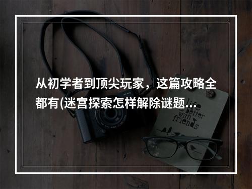 从初学者到顶尖玩家，这篇攻略全都有(迷宫探索怎样解除谜题难题)