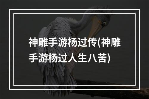 神雕手游杨过传(神雕手游杨过人生八苦)