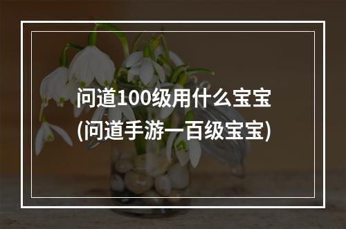 问道100级用什么宝宝(问道手游一百级宝宝)