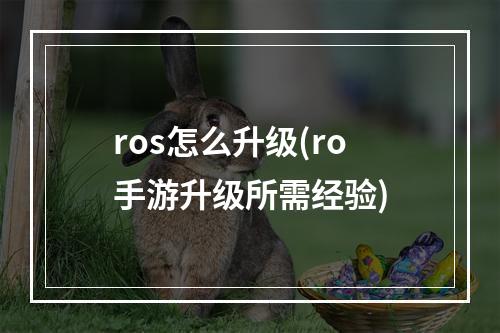 ros怎么升级(ro手游升级所需经验)