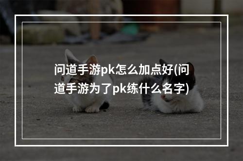 问道手游pk怎么加点好(问道手游为了pk练什么名字)