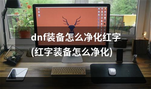 dnf装备怎么净化红字(红字装备怎么净化)