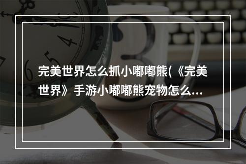 完美世界怎么抓小嘟嘟熊(《完美世界》手游小嘟嘟熊宠物怎么得 小嘟嘟熊捕捉位置分)