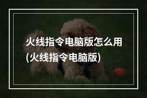 火线指令电脑版怎么用(火线指令电脑版)