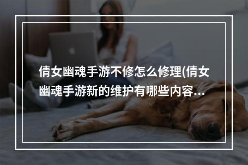 倩女幽魂手游不修怎么修理(倩女幽魂手游新的维护有哪些内容)