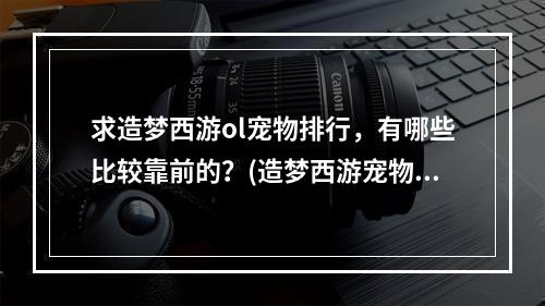 求造梦西游ol宠物排行，有哪些比较靠前的？(造梦西游宠物大全)