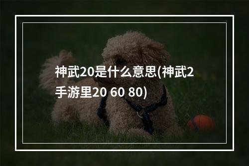 神武20是什么意思(神武2手游里20 60 80)