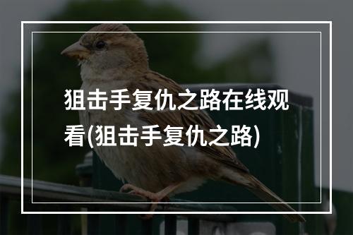 狙击手复仇之路在线观看(狙击手复仇之路)