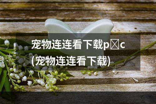 宠物连连看下载p c(宠物连连看下载)